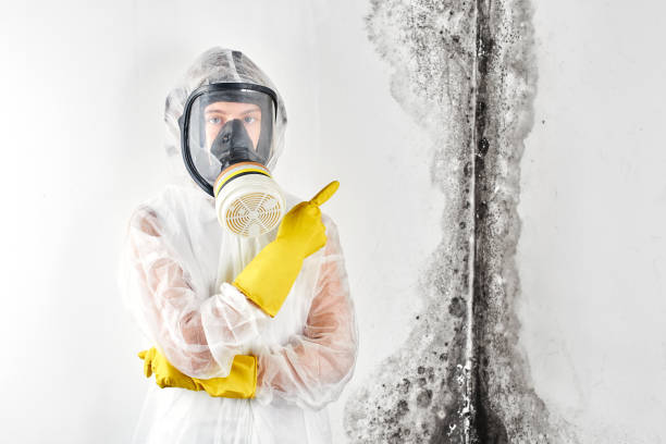 Mold Remediation for Vacation Homes in North Valley Stream, NY